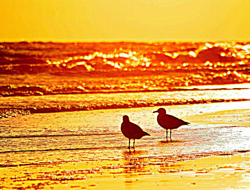 *** - Vladimir Bilyuk 