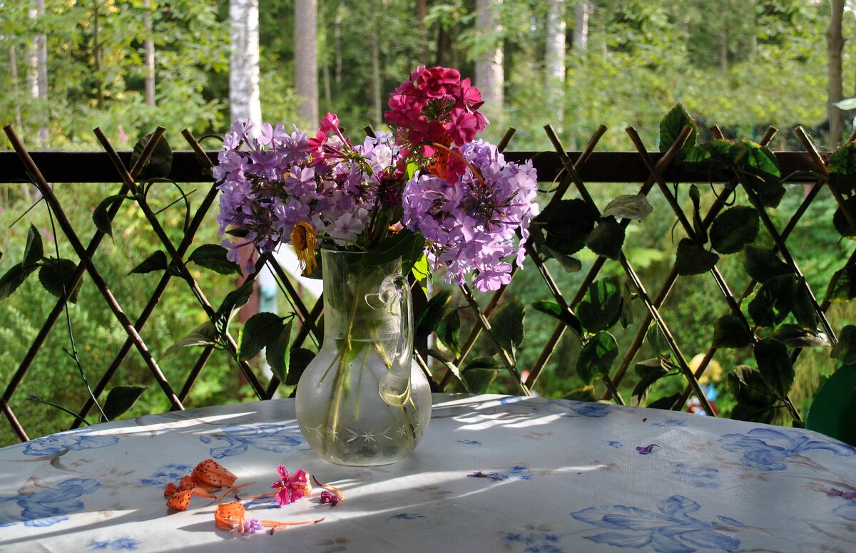 Уставший август - AleksSPb Лесниченко