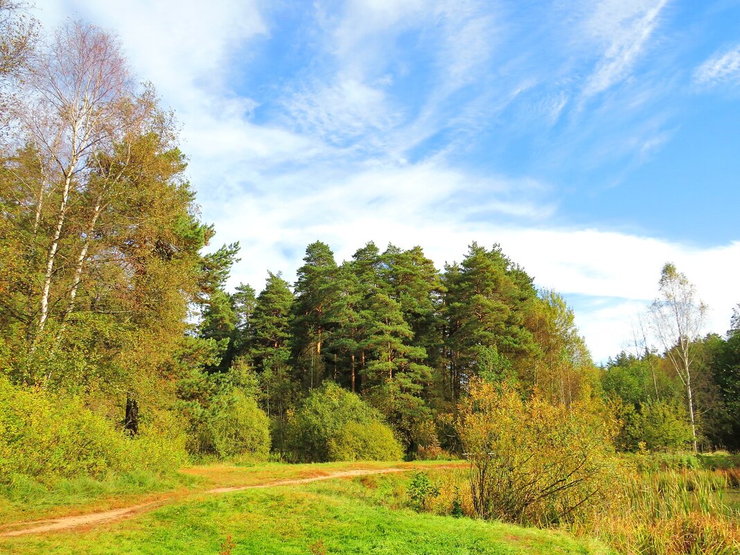 Тёплый день осени - Андрей Снегерёв