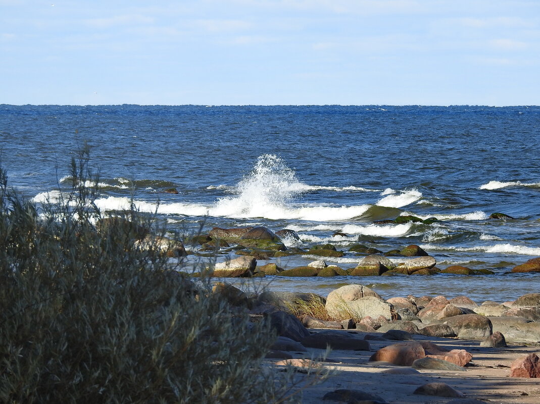 ******** - ИННА ПОРОХОВА