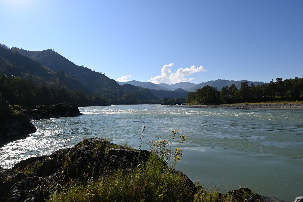 Утренняя Катунь - Валерий Медведев