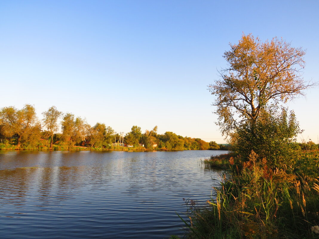 Осенняя река - Андрей Снегерёв Осенняя река - Андрей Снегерёв