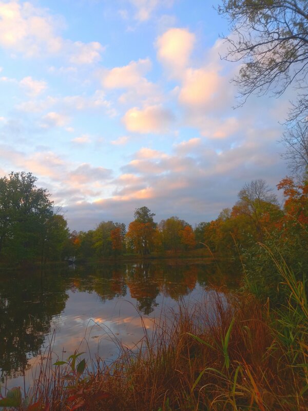 Закат - Сапсан 