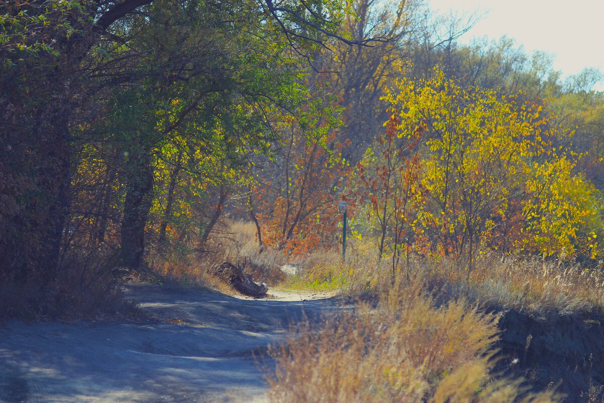 ***тёплый осенний денёк) - (Владимир С)
