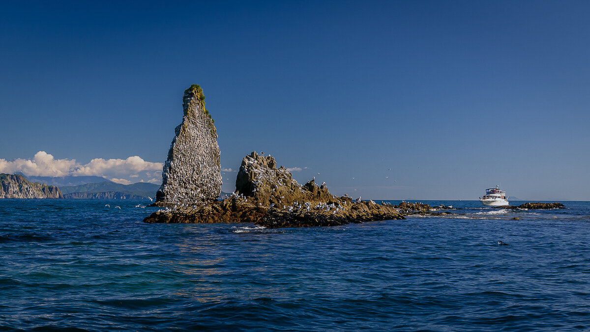 ... - Жора Житников