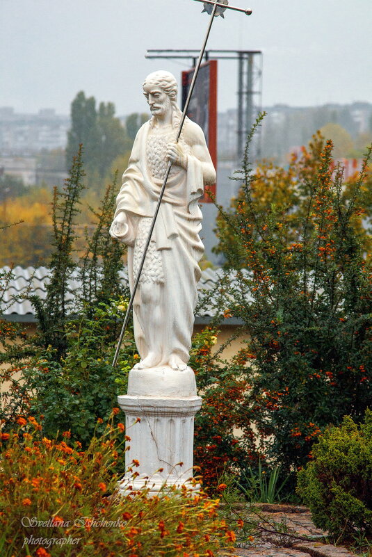 ... - Светлана Ищенко