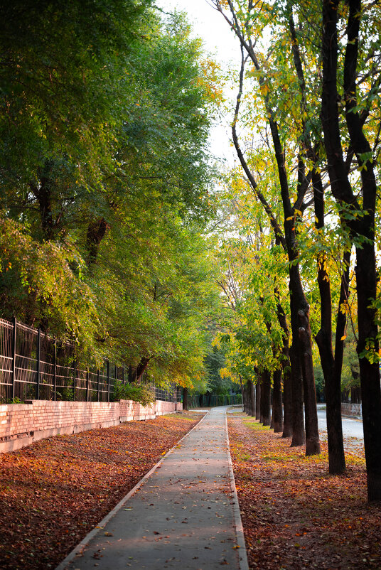 Осень 2025 - Вячеслав Дроздов