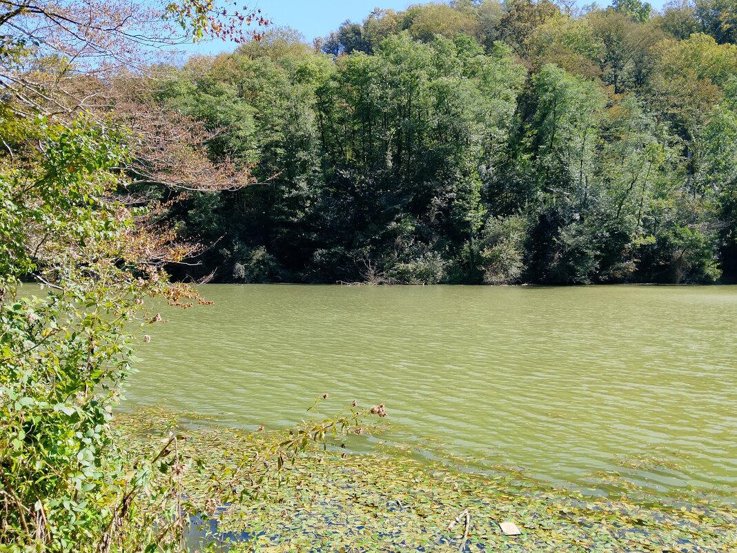 Министерские озёра - Tata Wolf