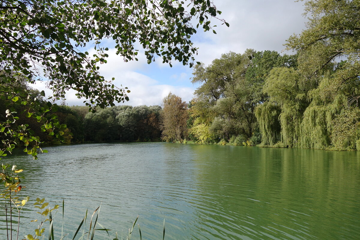 Сентябрьский пейзаж - Рита Симонова