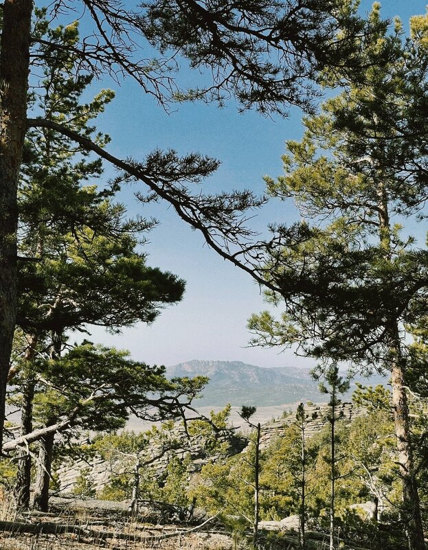 Осенние горы - Георгиевич 