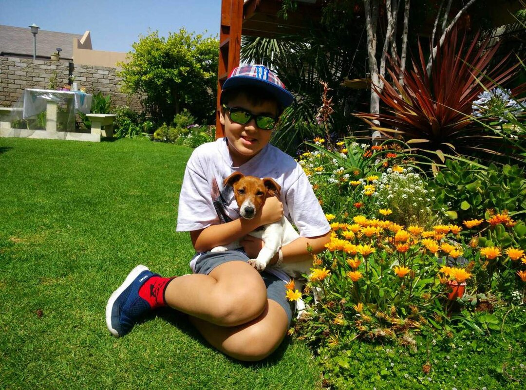 Зима в Африке - Венера Чуйкова