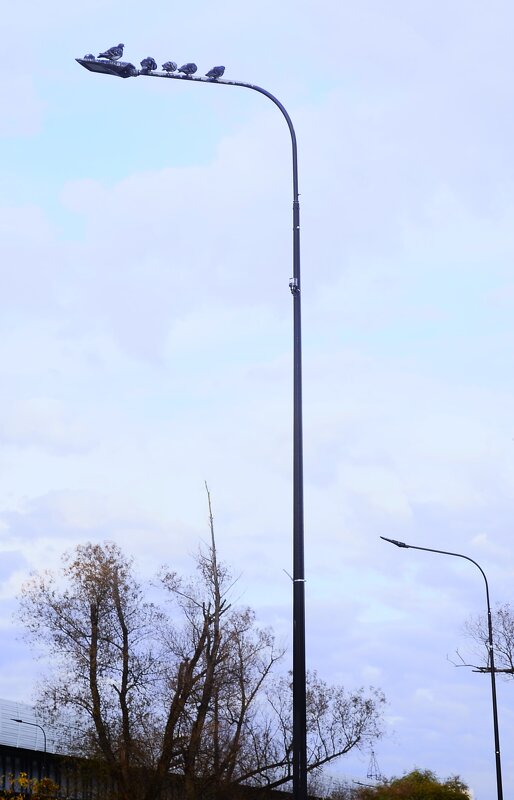 Высокое положение. - Василий Палий