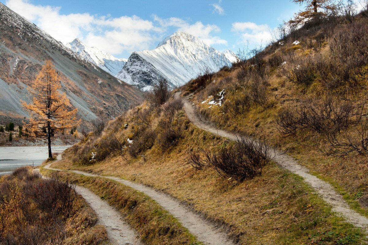 Тропа - Виктор Фоменко