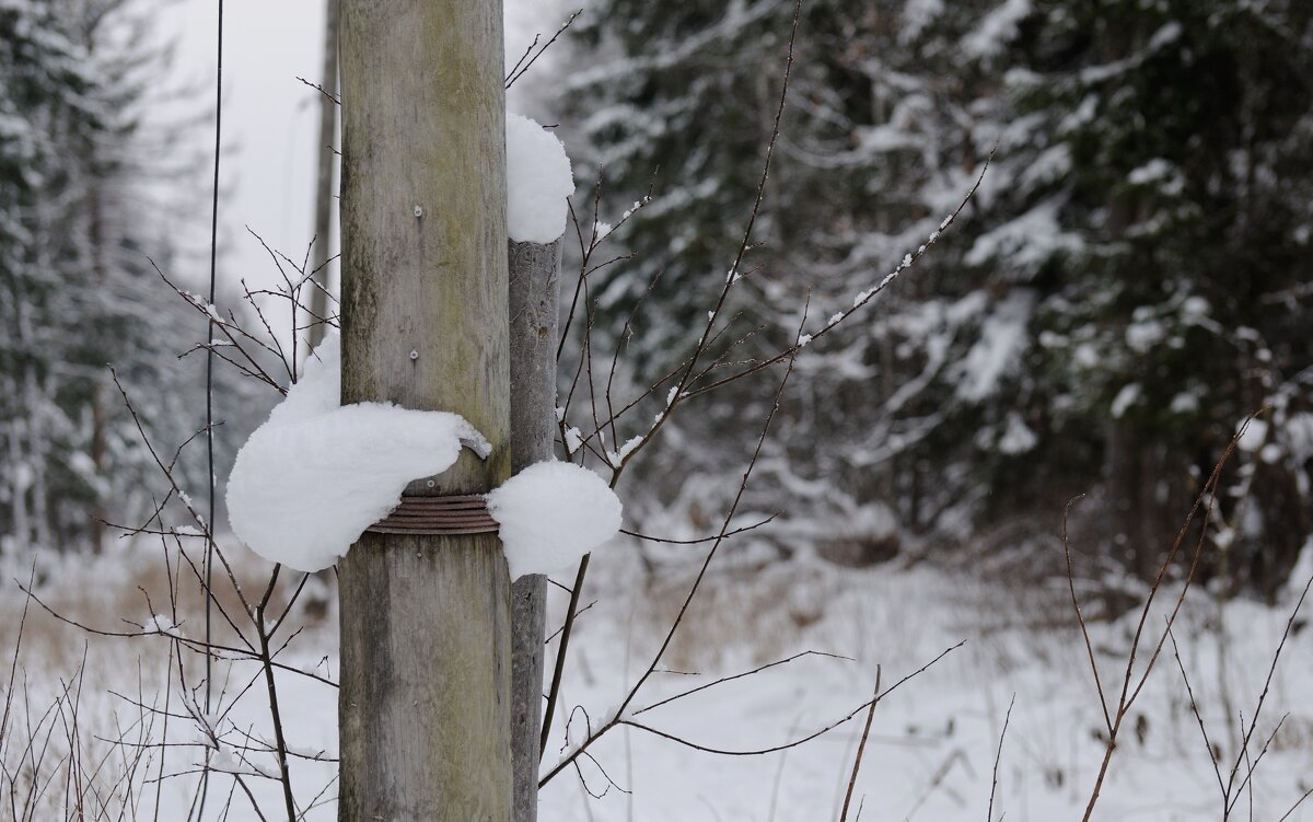 Обнимашки - Иван Генералов