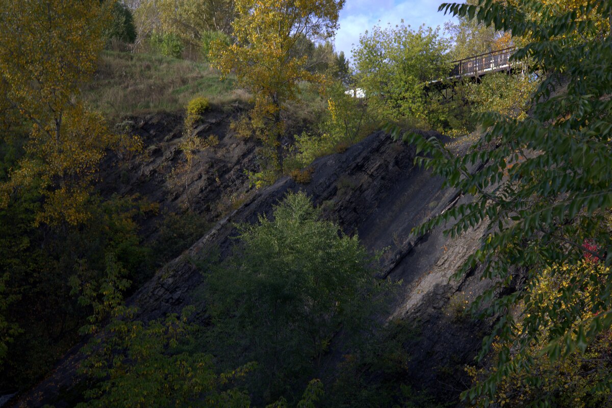 Пласт - Ильич -