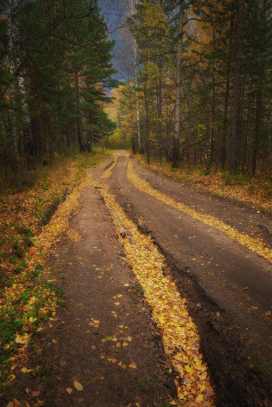 * - Александр Иванов