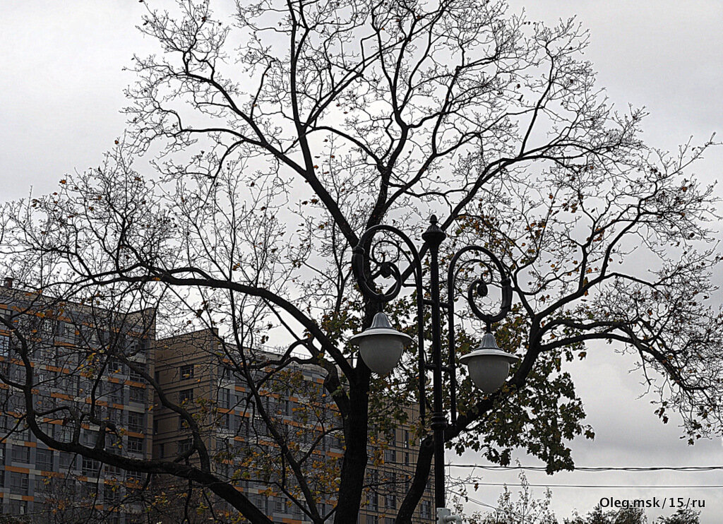 осень в городе - Олег Лукьянов