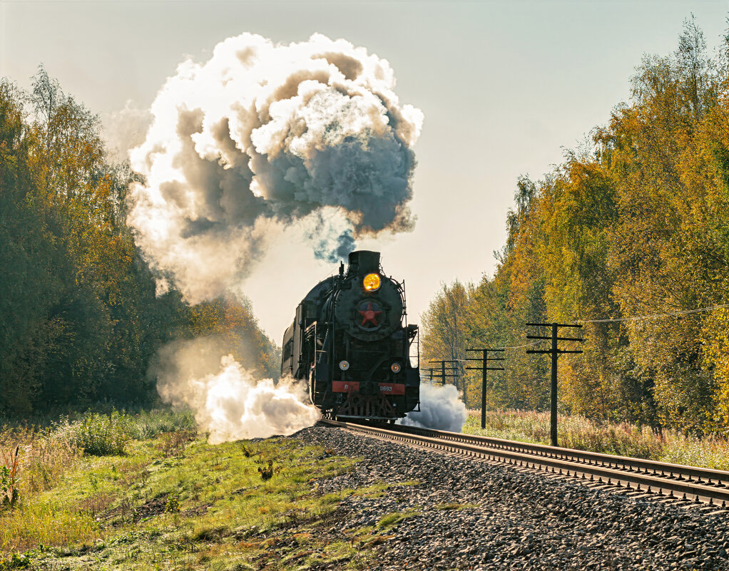 Паровоз - Igor Dibrov