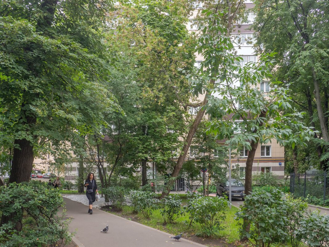 Здесь жил Г. Вицин - Yuriy V