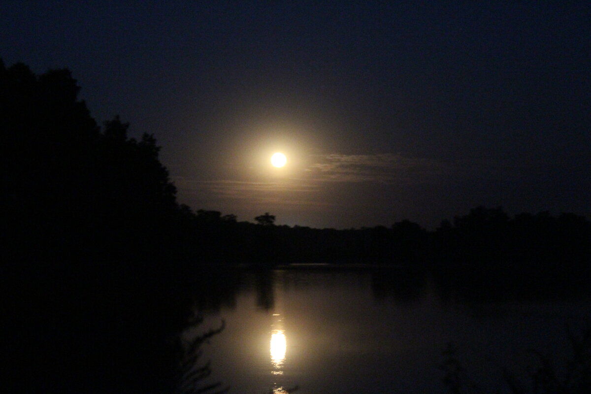 Летняя ночь - Сергей 