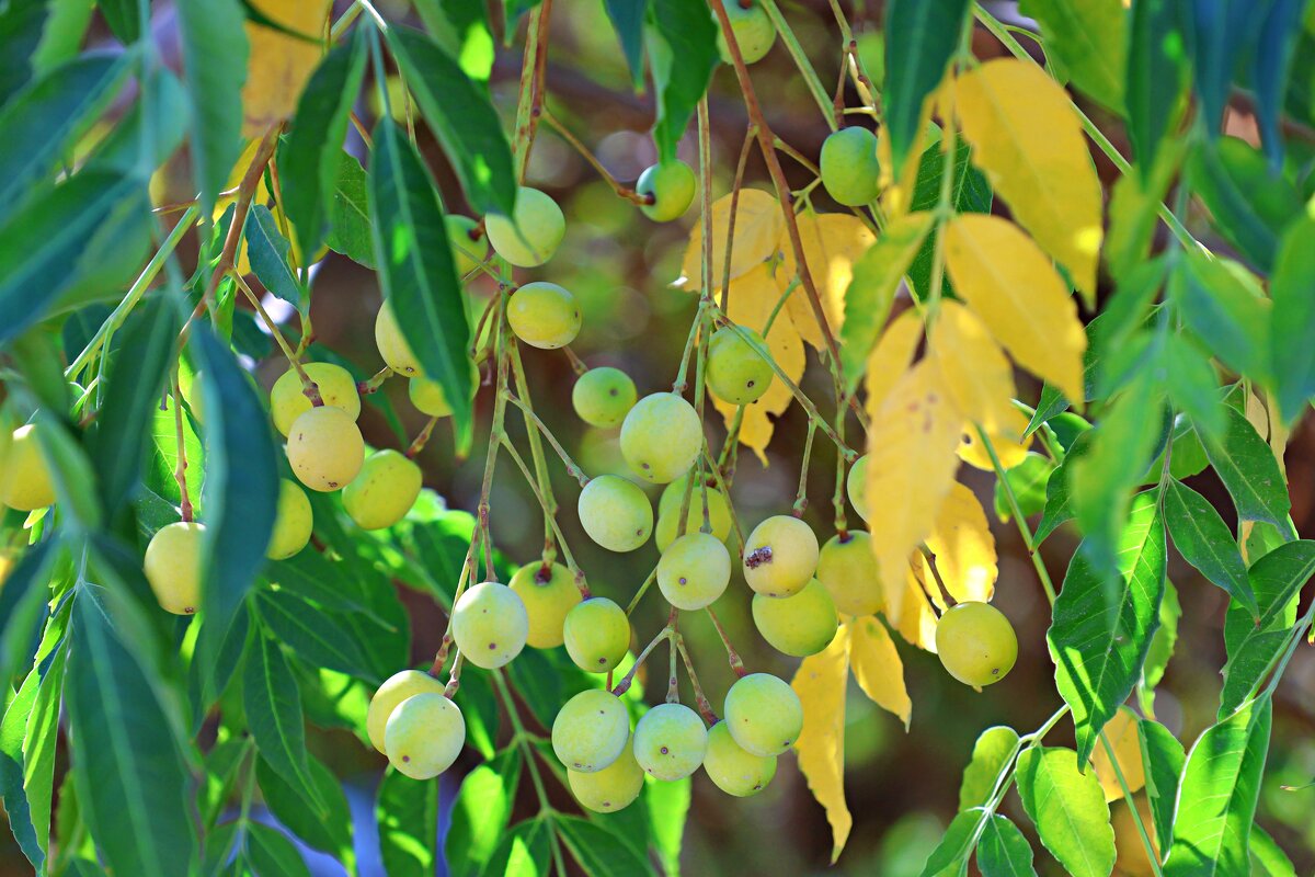 Сентябрь - Аркадий Басович
