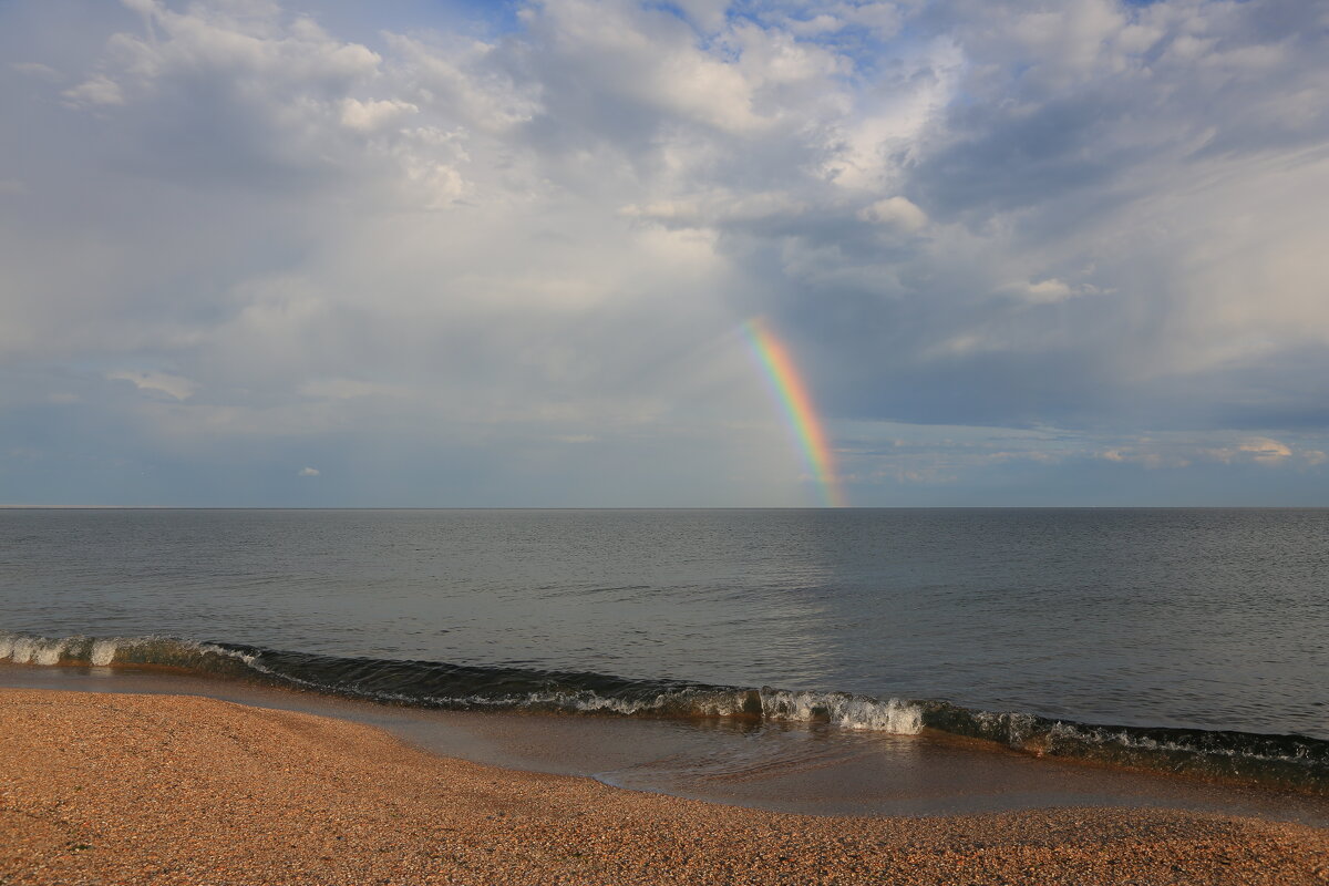 После дождя - Ninell Nikitina
