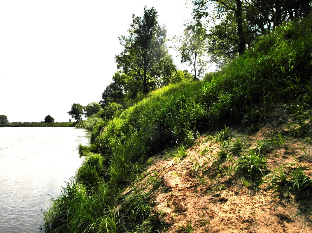 берег на реке - Владимир 