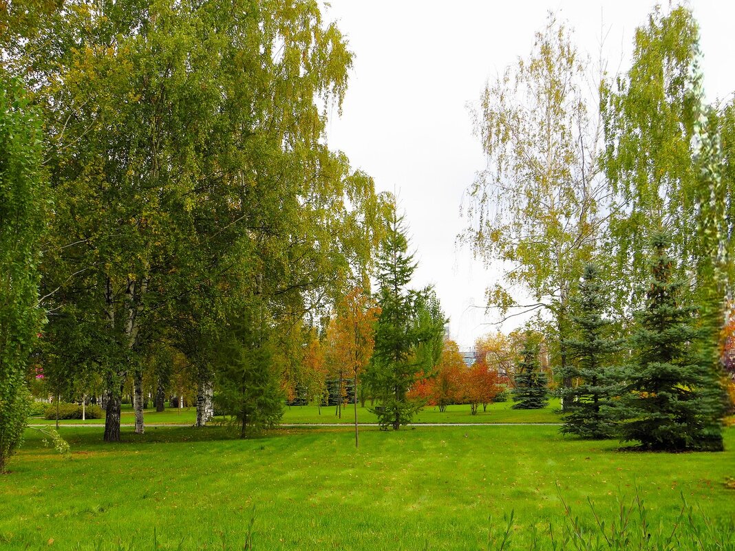 Осень в городе - Лариса С.