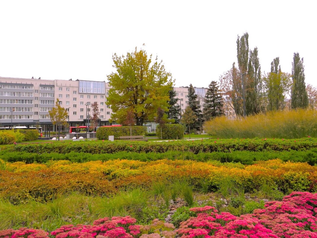 Осень в городе - Лариса С.