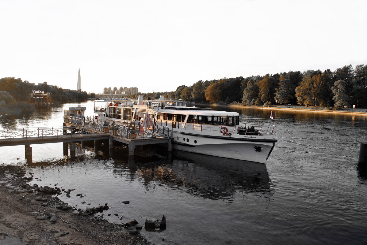 "Шустрый бобер" - AleksSPb Лесниченко