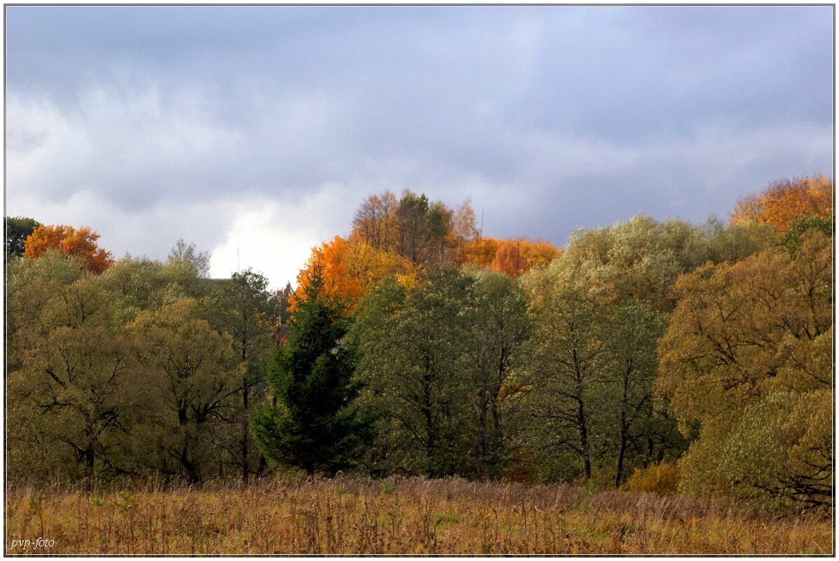 Осенняя палитра. - Владимир Попов Осенняя палитра. - Владимир Попов