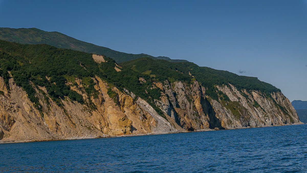 ... - Жора Житников