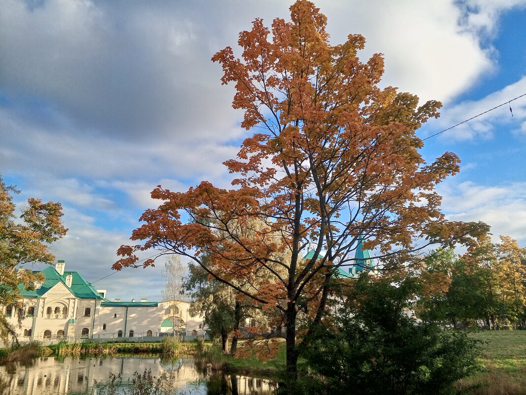 Осень - Сапсан 