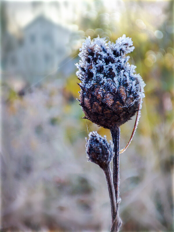 Замороженный - AZ east3 Замороженный - AZ east3