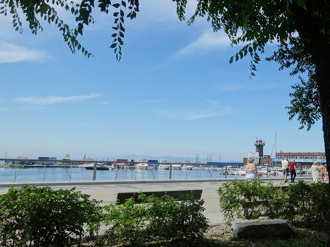 Владивосток. Спортивная набережная - Лидия Бусурина