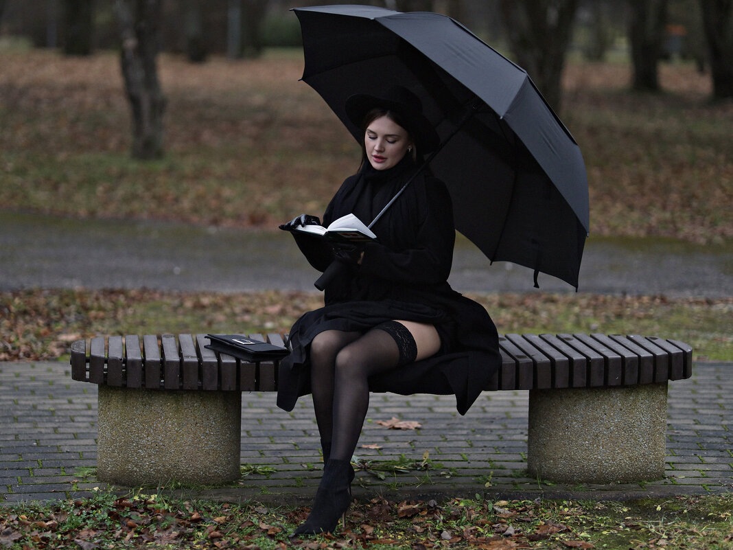 Осень, пасмурно... (2) - Игорь Парв