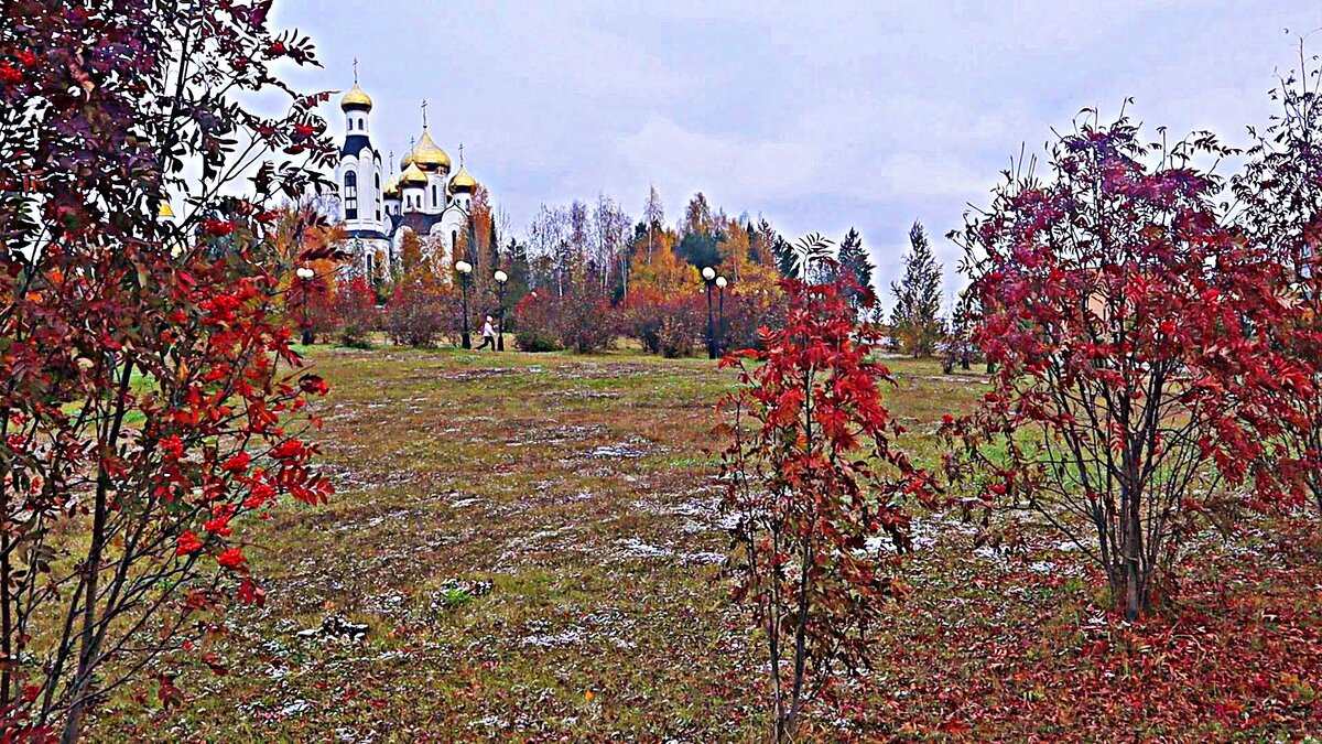 Октябрь...Рябины в церковном парке! - Владимир 