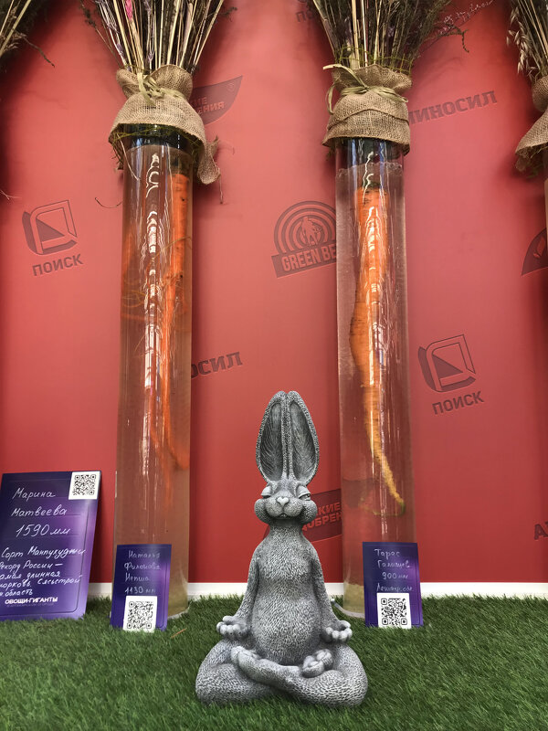 Размер имеет значение ? - Лариса Корж