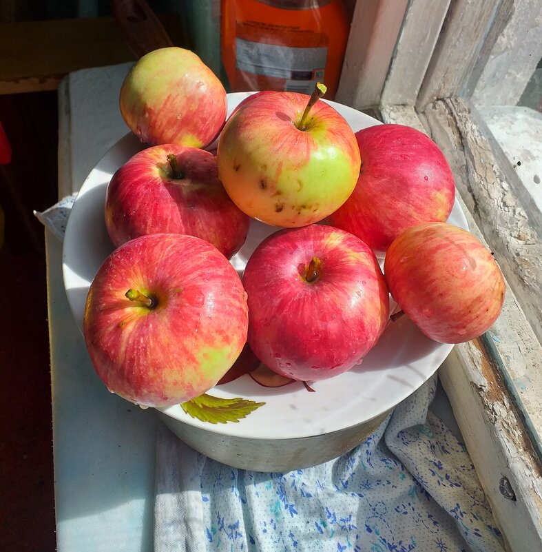 деревенские яблочки - Галина Флора