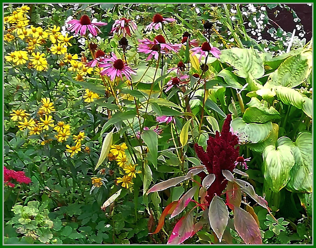 Цветы октября - Ольга Довженко Цветы октября - Ольга Довженко