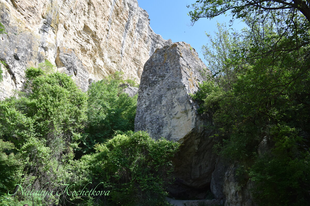Природа Крыма - Amazing Cosmea