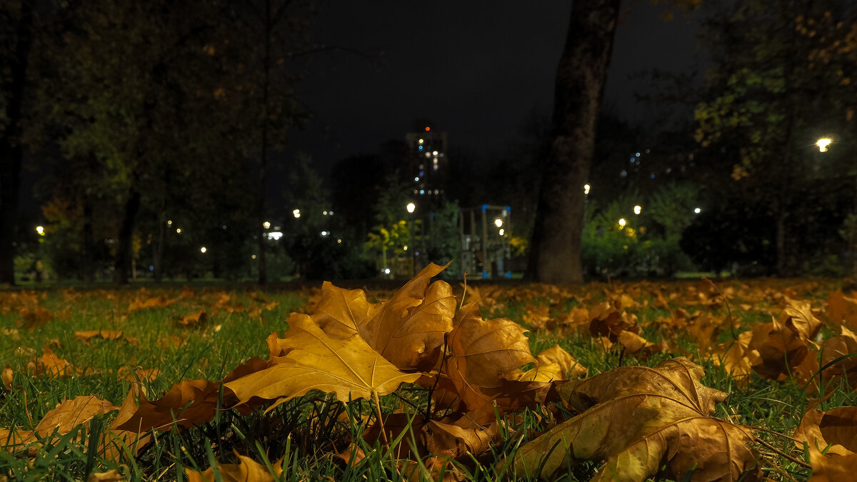 ***** - юрий поляков