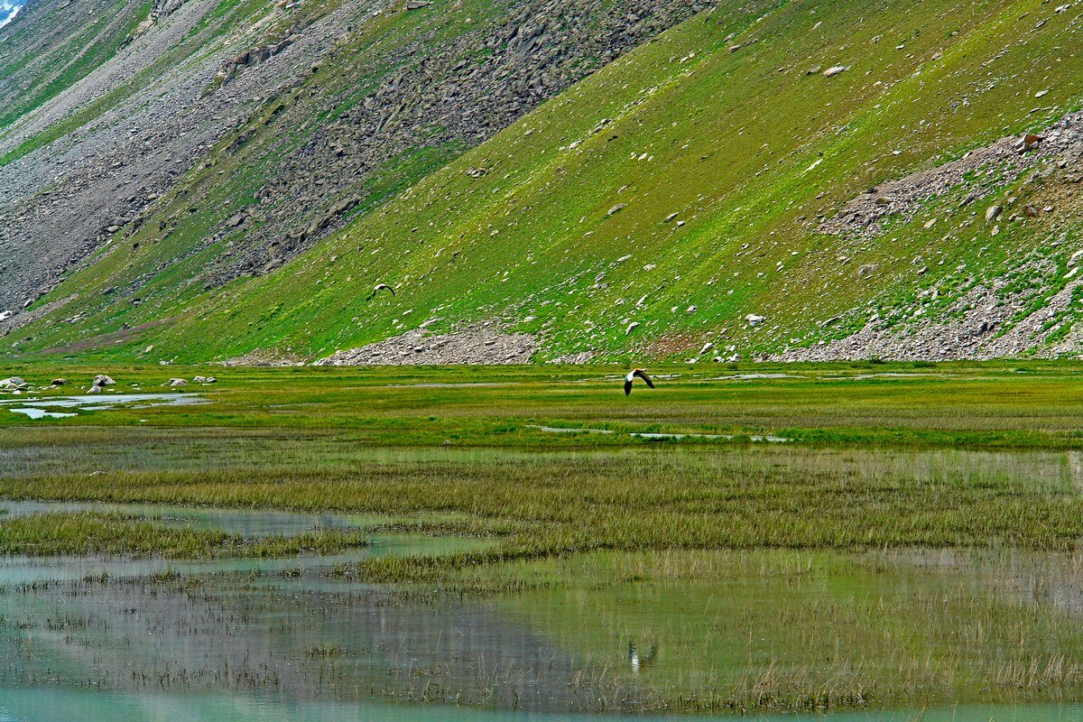ПРИТОК ОЙГАИНГА. h- 2850м. - Виктор Осипчук