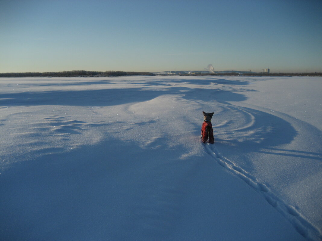 Прогулки по целине - Anna Ivanova