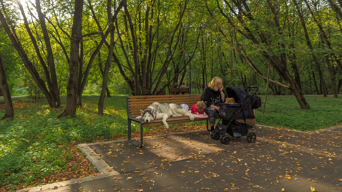 Прогулки в Осеннем Парке - юрий поляков