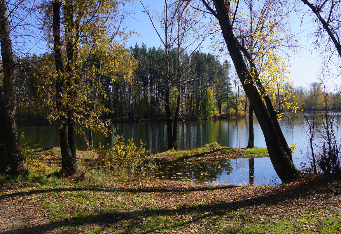 Осень - Наталия Григорьева