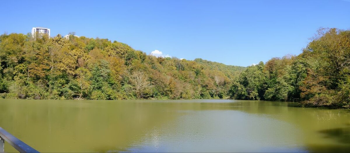 ПАНОРАМА - Tata Wolf