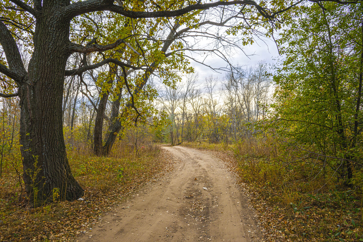 ... - Валерий 