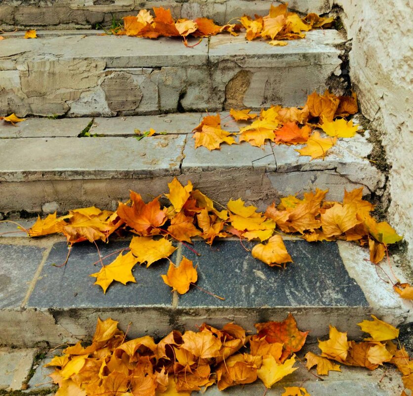 Листопад - Галина Бобкина