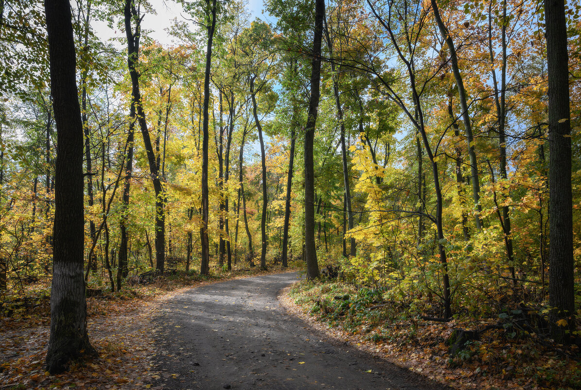 Сквозь, в золото одетые, леса - Валерий VRN